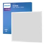 Philips Panneau LED Ledinaire RC065B 28W 3400lm - 865 Lumière Du Jour | 60x60cm - UGR <22
