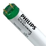 Philips MASTER TL-D ECO 51W - 840 Blanc Froid | 150cm