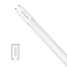 Noxion Tube LED T8 (EM/Direct 230V) Ultra Efficiency 22.1W 4100lm - 840 Blanc Froid | 150cm - &Eacute;quivalent 58W