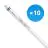 Lot 10x Philips Tube LED T5 MASTER (HF) High Efficiency 16.5W 2500lm - 840 Blanc Froid | 115cm - Équivalent 28W