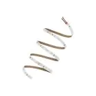 Ledvance Rubans LED Value 500 24Wlm 2450lm 24v - 865 Lumière du Jour | 5M/8mm