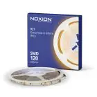 Noxion Rubans LED Naga 5 Mètre 24V - 120LEDs/m - 9.6W/m - 927 Blanc Très Chaud | 8mm - IP65 - Meilleur Rendu Des Couleurs - SMD2835