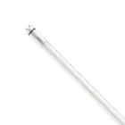 Philips Master Tube LED T8 (EM/Direct 230V) High Output T8 7.6W 1150lm - 840 Blanc Froid | 60cm - Équivalent 18W