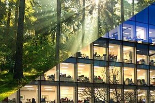 Lumière naturelle VS lumière artificielle ?