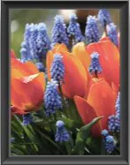 Indice de rendu des couleurs 70