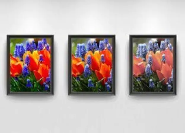 Indice de rendu des couleurs